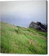 Wildflowers On Green Hillside Under Canvas Print