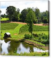 Winery Panorama1 Canvas Print