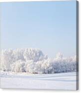 Winter Beautiful Landscape With Trees Canvas Print