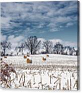 Winter Blues And Bales - Snow Covered Corn Stubble And Bales Near Stoughton Wi Canvas Print