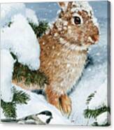 Winter Cottontail And Friend Canvas Print