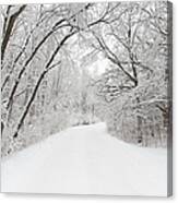 Winter Country Road Canvas Print