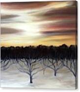 Winter Orchard Canvas Print