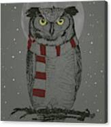 Winter Owl Canvas Print