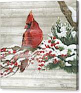 Winter Red Bird On Wood I Canvas Print