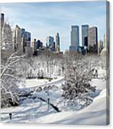 Winter Wonderland In Central Park Canvas Print