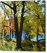 With Trees And Water Canvas Print
