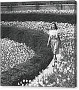 Woman Walking On Flowerbed, B&w Canvas Print