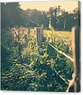 Wooden Fence Canvas Print