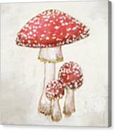 Woodland Mushroom Ii Canvas Print
