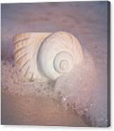 Worn By The Sea Canvas Print
