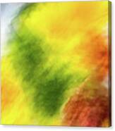 Yellow And Green Abstract Canvas Print
