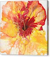Yellow And Red Hibiscus Canvas Print