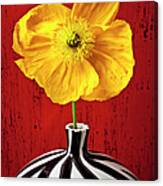 Yellow Iceland Poppy In Striped Vase Canvas Print