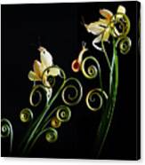 Yellow Orchid Mantis Canvas Print