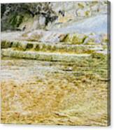 Yellowstone 4 Canvas Print