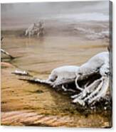 Yellowstone's Mineral Beauty Canvas Print