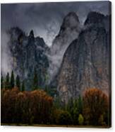 Yosemite After Rain Canvas Print