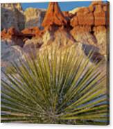Yucca And Toadstook Rock Canvas Print