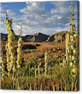 Yuccas Bloom In Book Cliffs Desert Canvas Print