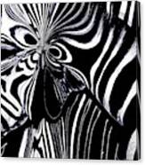 Zebra Art Canvas Print