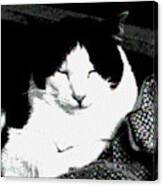 Zen Cat Canvas Print