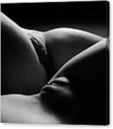 0876 Black White Abstract Art Nude Two Women Canvas Print
