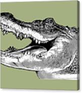 American Alligator #1 Canvas Print