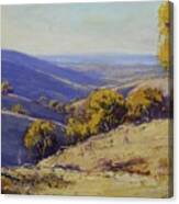 Australian Landscape Canvas Print