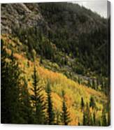 Autumn Colors In The Canadian Rockies #1 Canvas Print