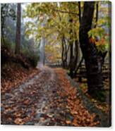 Autumn Landscape With Trees And Autumn Leaves On The Ground After Rain Canvas Print