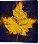 Autumn Leaf Canvas Print