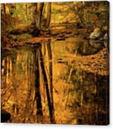 Autumn Reflections #1 Canvas Print