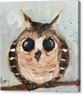 Baby Owl #1 Canvas Print