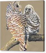 Barred Owl Mother And Child #2 Canvas Print