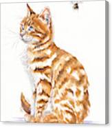 Tabby Cat - Bee Oblivious Canvas Print