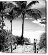 Black Florida Series - Boardwalk Beach #1 Canvas Print