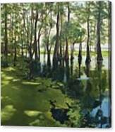 Blue Cypress Lake #1 Canvas Print