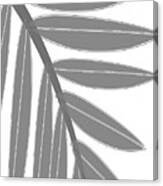 Boho Pastel Palm Leaf Abstract #1 Canvas Print