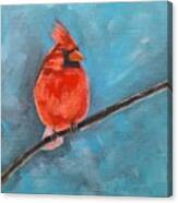 Cardinal #1 Canvas Print