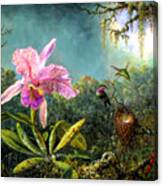 Cattleya Orchid And Three Brazilian Hummingbirds Canvas Print