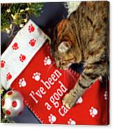 Christmas Pet Stocking With Family Cat In Festive Setting. #1 Canvas Print
