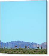 Colors Of Countryside Canvas Print