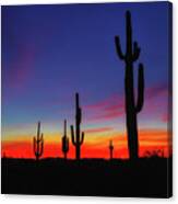 Desert Sunset #1 Canvas Print