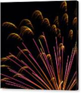 Fireworks In Romeoville, Illinois #1 Canvas Print