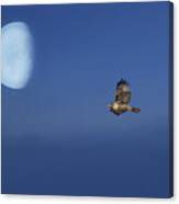 Fly Me To The Moon #1 Canvas Print