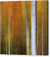 Forest Color Burst Modern Abstract Panorama Canvas Print