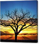 Gorgeous Sunset With The Taos Welcome Tree Canvas Print