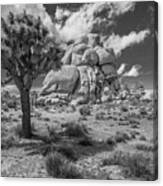 Intersection Rock - Black And White Canvas Print