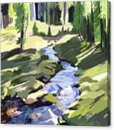 Lena Peak Stream #1 Canvas Print